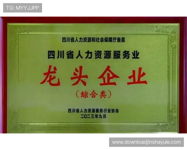 金沙公司全称的法律定义与注册信息,确保企业信息的准确性