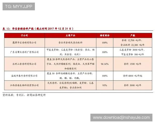 金沙公司全称及其在国际市场中的品牌影响力深度剖析