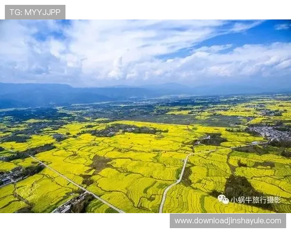 金沙体育登录官网官方平台,提供丰富的体育赛事直播与投注服务指南