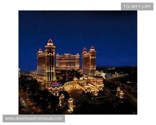 澳门十大娱乐场所法人代表的详细介绍与行业影响分析