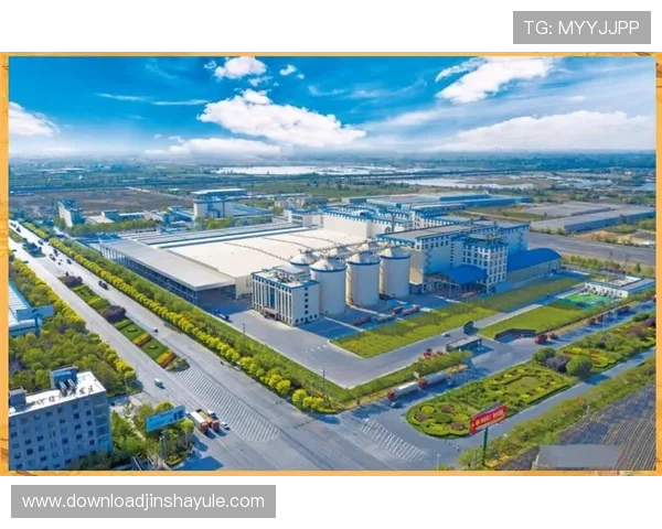 金沙河面业集团在全国市场的布局策略及其对消费者生活品质提升的积极影响 金沙河面业集团在全国市场的布局策略及其对消费者生活品质提升的积极影响